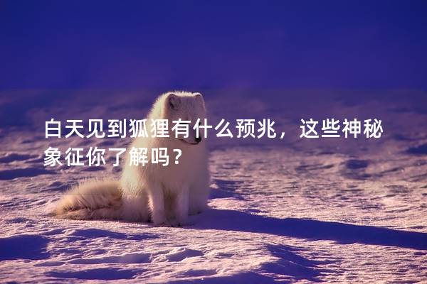 白天見到狐貍有什么預(yù)兆，這些神秘象征你了解嗎？